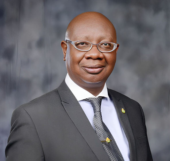 Alhaji Babatunde Fashola-Adegoke